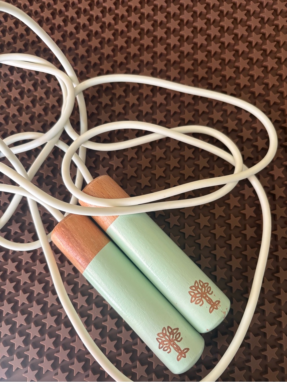 Mint Green Wooden Jump Rope with White Cord